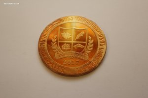 Золотая школьная медаль, Грузия.