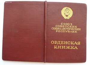 Много документов (Орденские книжки, удост. к медалям и др.)