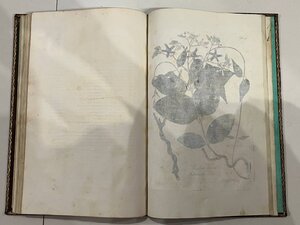 Книга SCHMIDT, ÖSTERREICHS ALLGEMEINE BAUMZUCHT, 1792 год