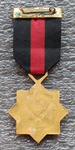 Медаль За храбрость Ирак
