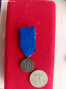 Фрачная медаль 8 лет выслуги в SS (с лентой)